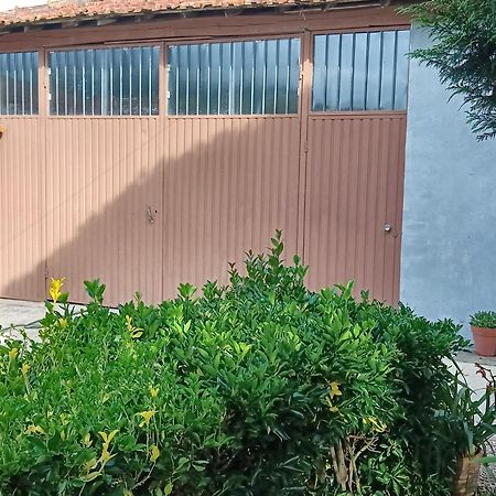 Casa Da Vovo Ceu - Casa De Campo Gandaresa - Country House, Entre Coimbra E Aveiro, A 15 Minutos Carro Praia Mira - Quintal Com Piscina Insuflavel Cantanhede Esterno foto